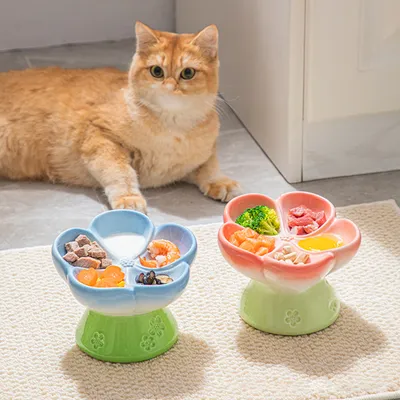 Gamelle surélevée en céramique pour chat à alimentation lente