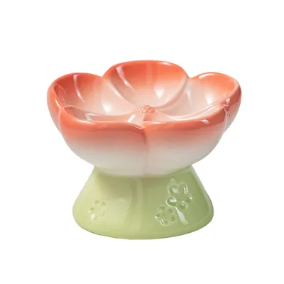 Gamelle surélevée en céramique pour chat à alimentation lente