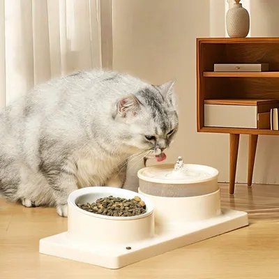 Zoomtopia Abreuvoir et gamelle pour chat