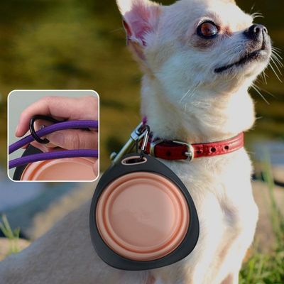 Pawzy Bol pliable pour animaux rose