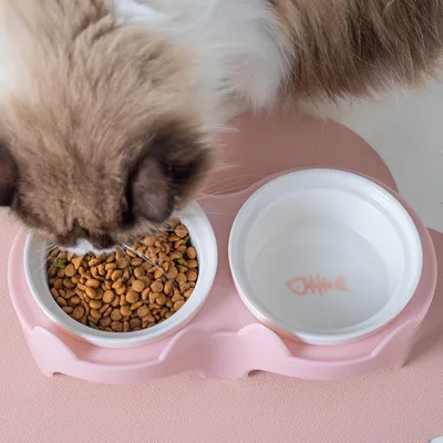 Zoomtopia Gamelle surélevée pour chat
