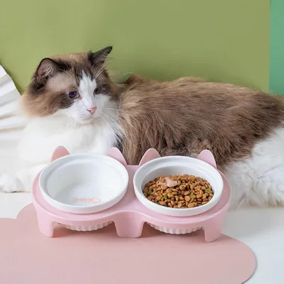 Zoomtopia Gamelle surélevée pour chat