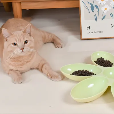 Zoomtopia Bol d'chats en forme de pétales de fleurs pour animaux