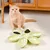 Zoomtopia Bol d'chats en forme de pétales de fleurs pour animaux
