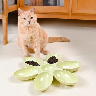 Zoomtopia Bol d'chats en forme de pétales de fleurs pour animaux