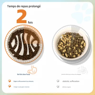 FurryFusion Gamelle anti-glouton pour chat