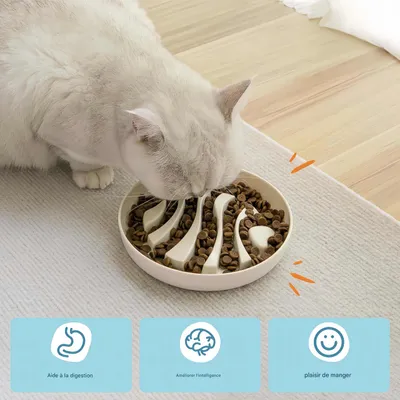 FurryFusion Gamelle anti-glouton pour chat