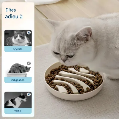 FurryFusion Gamelle anti-glouton pour chat