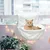 IntiMeg Chaud lit suspendu pour chat