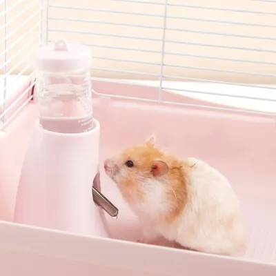 Zoomtopia Abreuvoir pour rongeurs