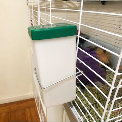 Zoomtopia Distributeur d'eau automatique pour petits animaux