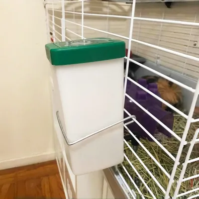 Zoomtopia Distributeur d'eau automatique pour petits animaux