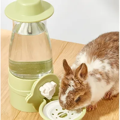 Pawzy Fontaine à eau pour petits animaux