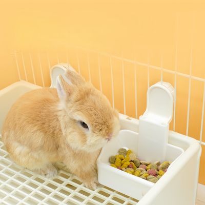 Pawzy Mangeoire pour cage d'animaux