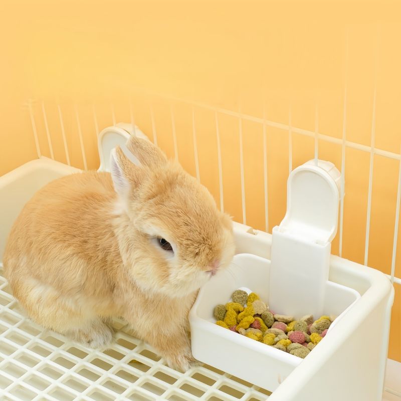 Pawzy Mangeoire pour cage d'animaux