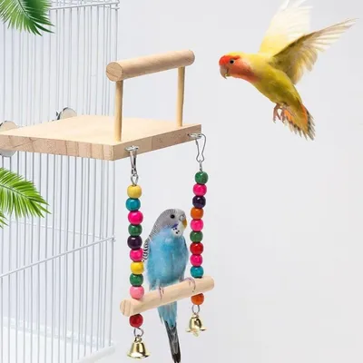 Zoomtopia Plateforme pour oiseaux