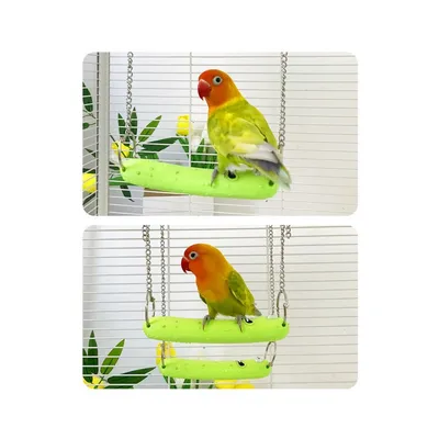 Zoomtopia Balançoire concombre pour perroquets et oiseaux