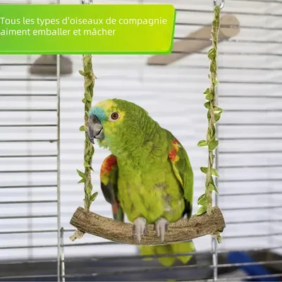 Zoomtopia Perchoir interactif pour oiseaux