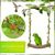 Zoomtopia Perchoir interactif pour oiseaux