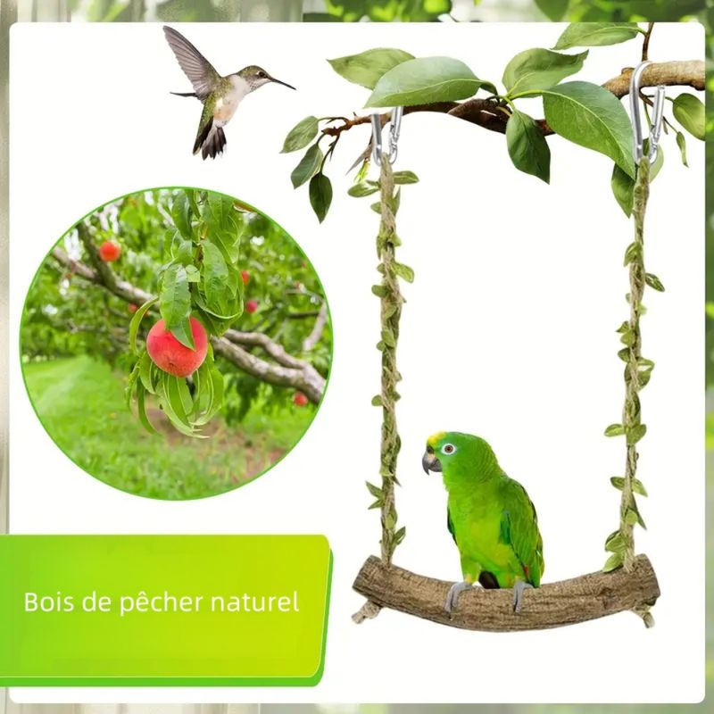 Zoomtopia Perchoir interactif pour oiseaux