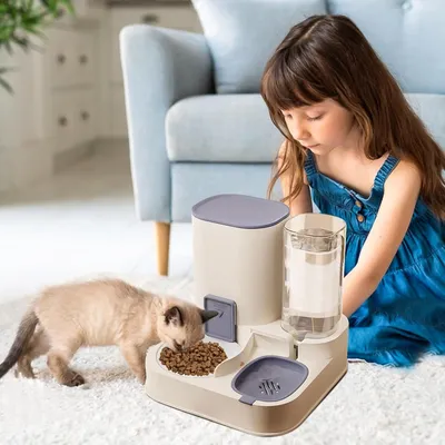 Zoomtopia Mangeoire automatique pour chat