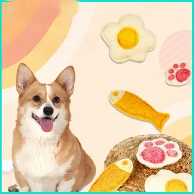 Pawzy 3 articles jouets de dentition pour chat