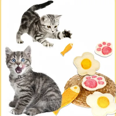 Pawzy 3 articles jouets de dentition pour chat