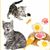 Pawzy 3 articles jouets de dentition pour chat