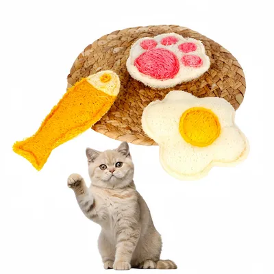 Pawzy 3 articles jouets de dentition pour chat