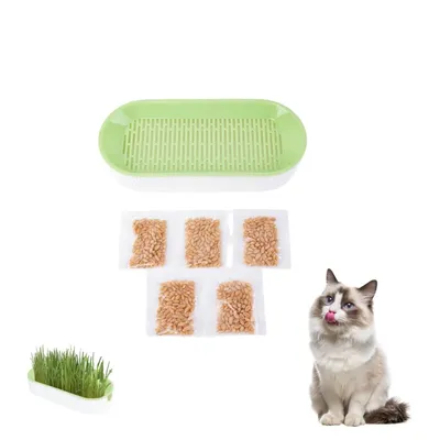 Zoomtopia Boîte de plantation pour culture de chat