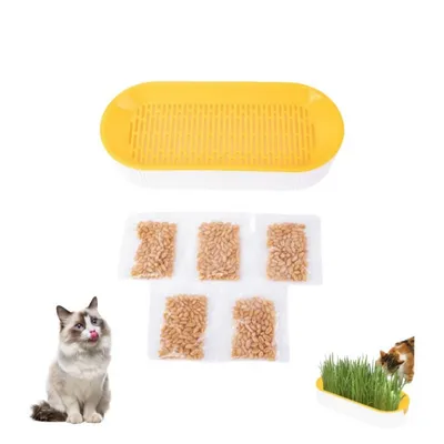 Zoomtopia Boîte de plantation pour culture de chat