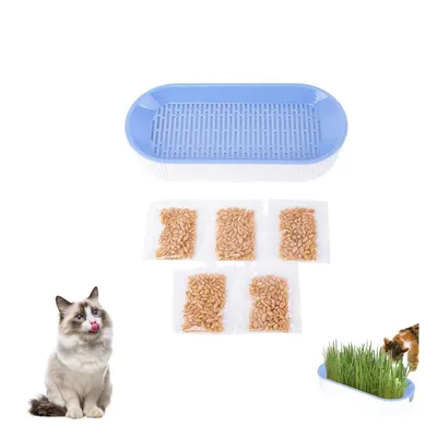 Zoomtopia Boîte de plantation pour culture de chat