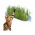 Zoomtopia Boîte de plantation pour culture de chat