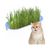 Zoomtopia Boîte de plantation pour culture de chat