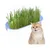 Zoomtopia Boîte de plantation pour culture de chat