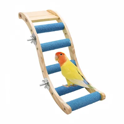 Pawzy Échelle pour petits animaux