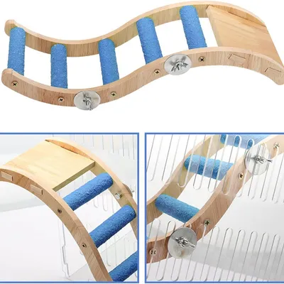 Pawzy Échelle pour petits animaux