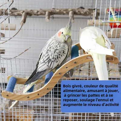 Pawzy Échelle pour petits animaux