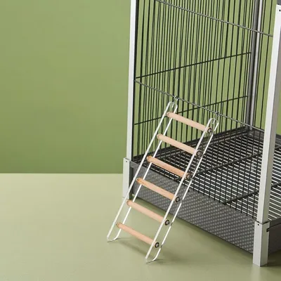 Zoomtopia Échelle à oiseaux pour cage