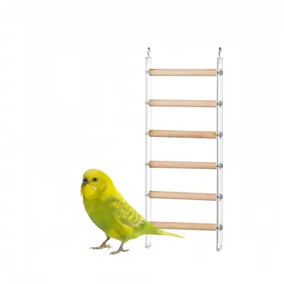 Zoomtopia Échelle à oiseaux pour cage