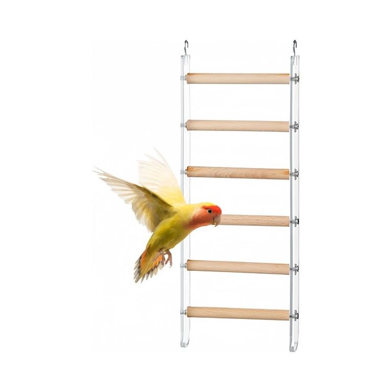 Zoomtopia Échelle à oiseaux pour cage
