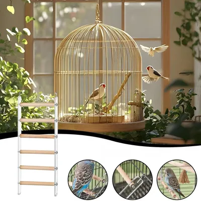 Zoomtopia Échelle à oiseaux pour cage