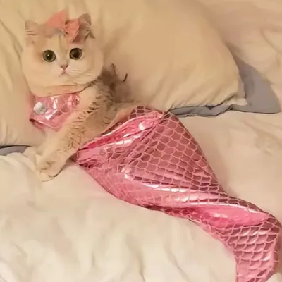 UAMLY Disfraz de sirena para gatos