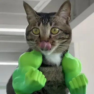Pawzy Costume Hulk pour chat Pawzy Costume Hulk pour chat