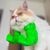 Pawzy Costume Hulk pour chat