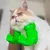 Pawzy Costume Hulk pour chat Pawzy Costume Hulk pour chat