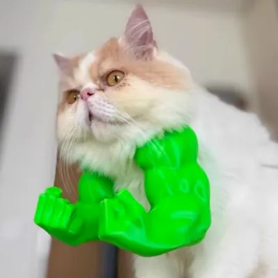 Pawzy Costume Hulk pour chat Pawzy Costume Hulk pour chat
