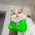 Pawzy Costume Hulk pour chat Pawzy Costume Hulk pour chat