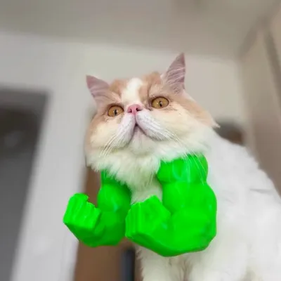 Pawzy Costume Hulk pour chat Pawzy Costume Hulk pour chat