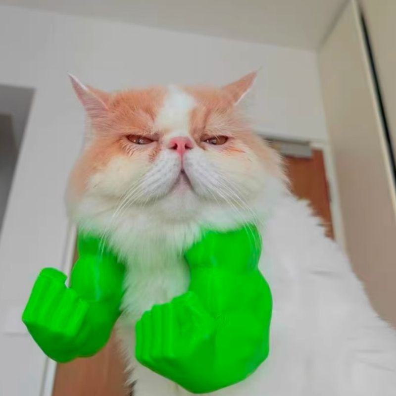 Pawzy Costume Hulk pour chat